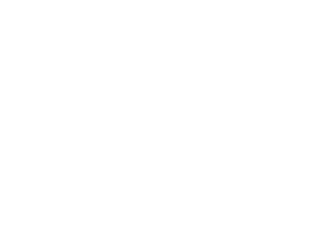 Chaverim Youth Organisation logo